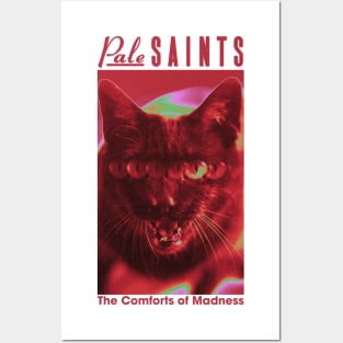 Pale Saints The Comforts of Madness Posters and Art